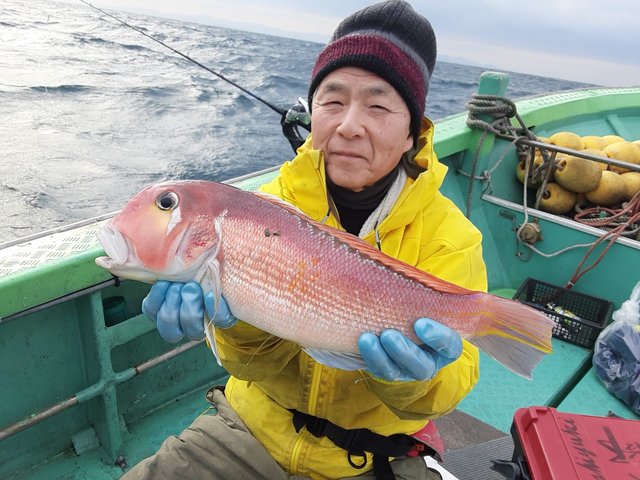 アマダイ(アカアマダイ)