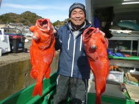 ベニアコウ(オオサガ)