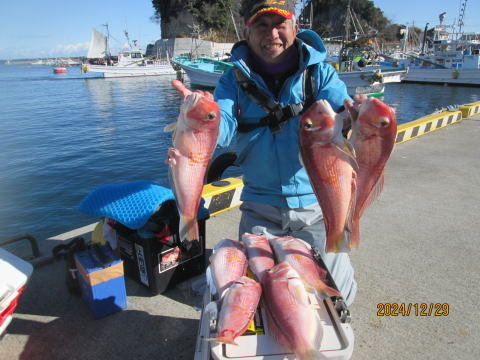 アマダイ(アカアマダイ)