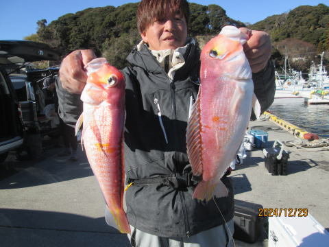 アマダイ(アカアマダイ)