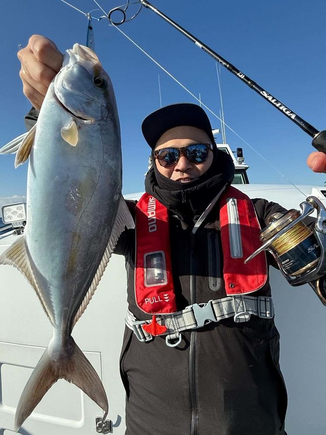 ショゴ(カンパチ)