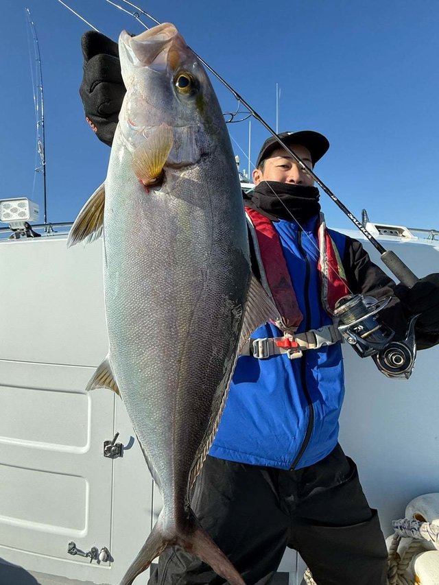 ショゴ(カンパチ)