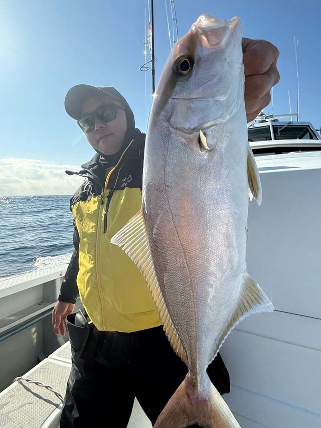 ショゴ(カンパチ)