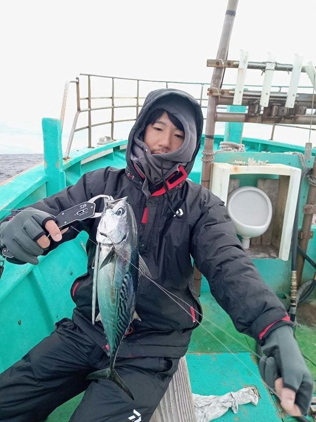 スマガツオ(スマ)