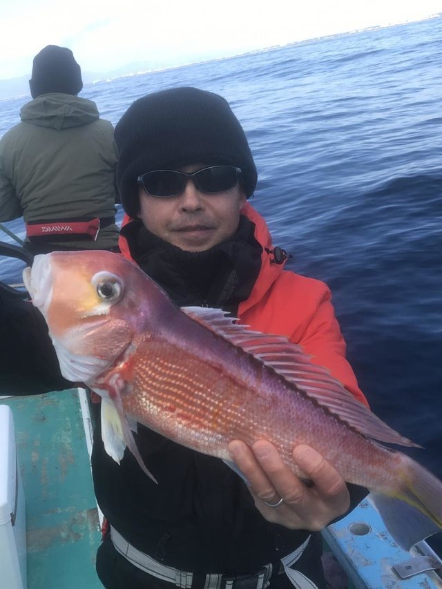 アマダイ(アカアマダイ)