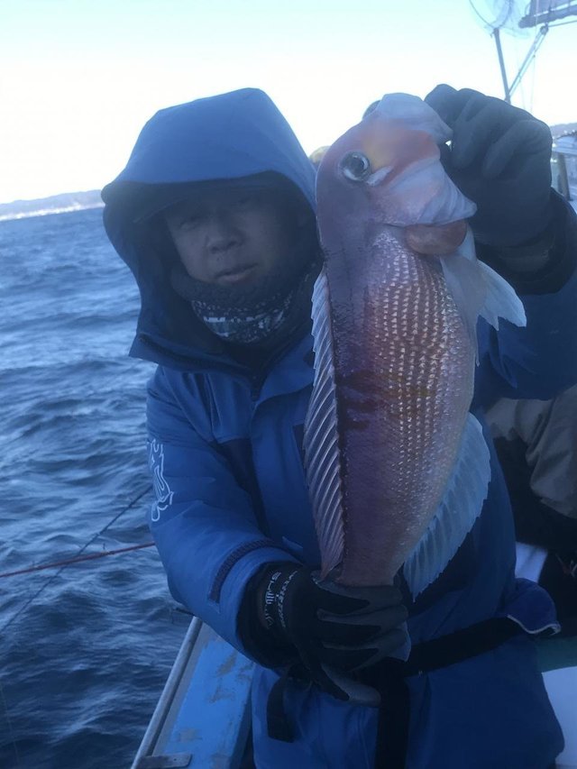 アマダイ(アカアマダイ)