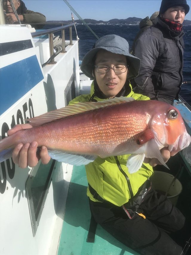 アマダイ(アカアマダイ)