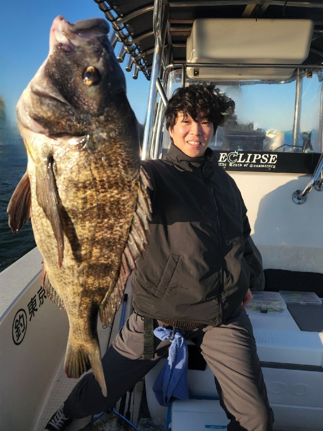 チヌ(クロダイ)