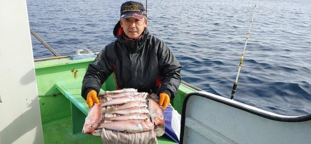 アマダイ(アカアマダイ)