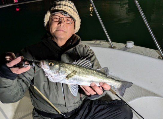 シーバス(スズキ)