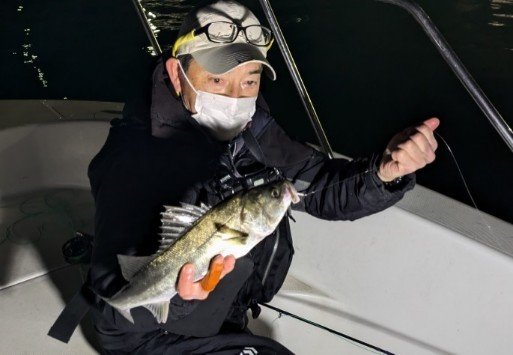 シーバス(スズキ)