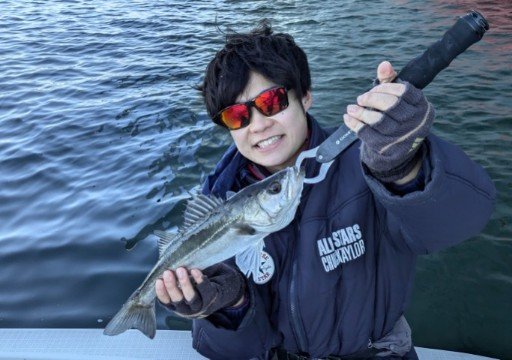 シーバス(スズキ)