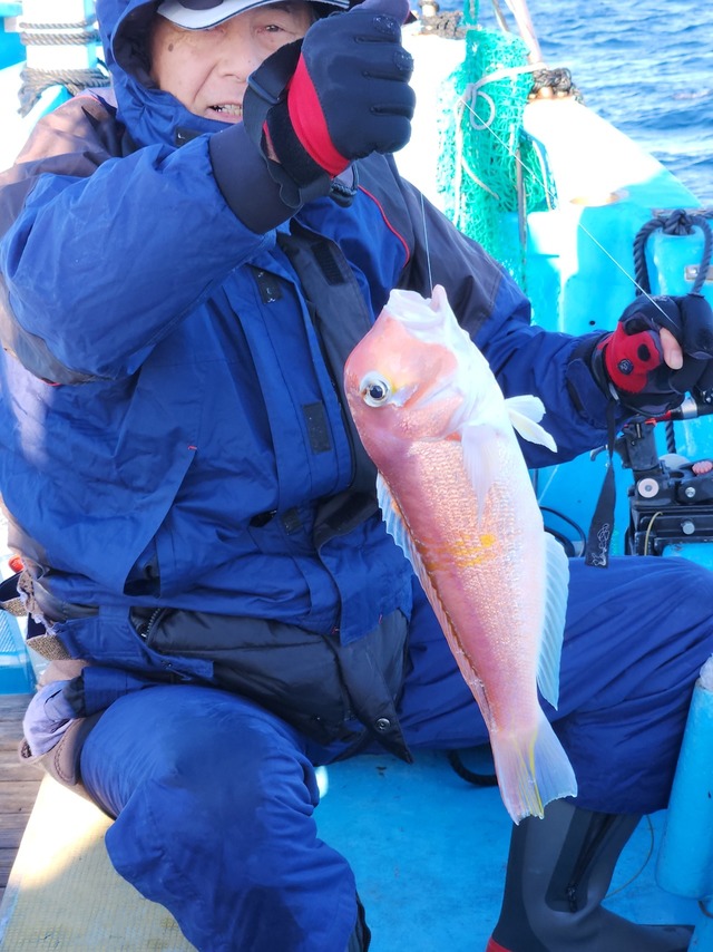 アマダイ(アカアマダイ)