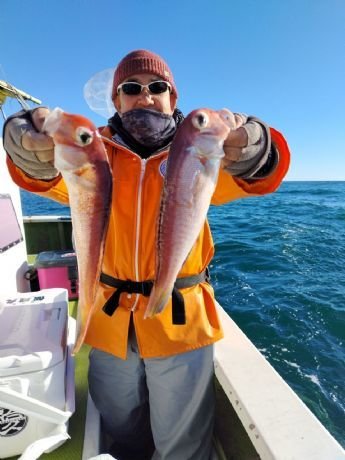 アマダイ(アカアマダイ)