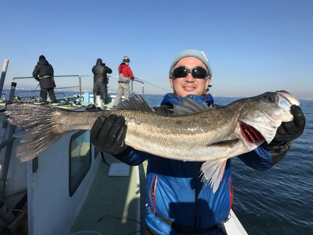 シーバス(スズキ)