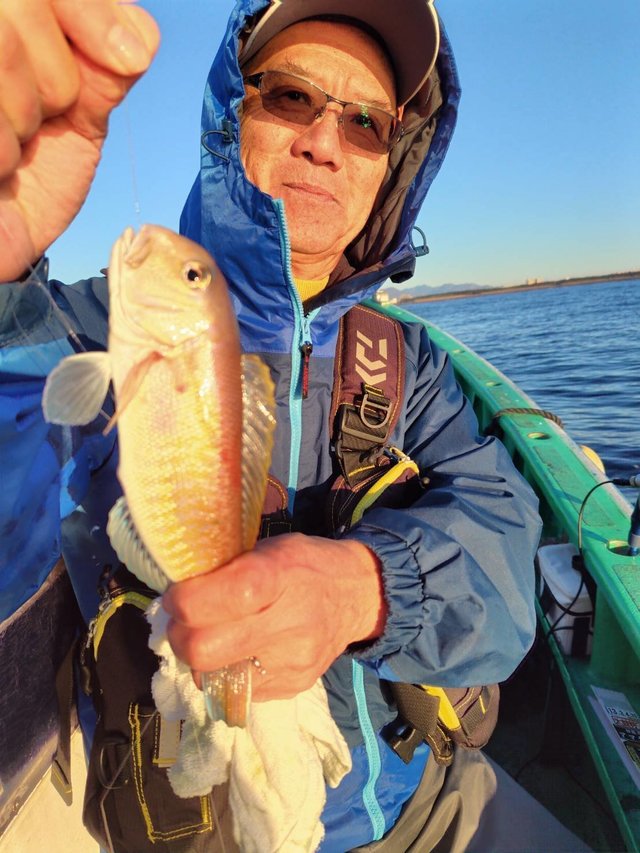 アマダイ(アカアマダイ)