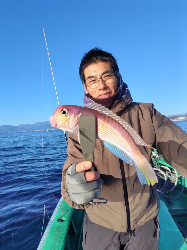 アマダイ(アカアマダイ)