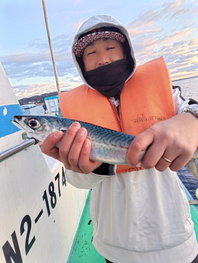 サバ(ゴマサバ)