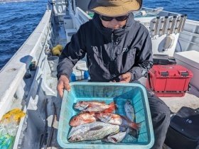 アカムツ・シロムツ(オオメハタ)