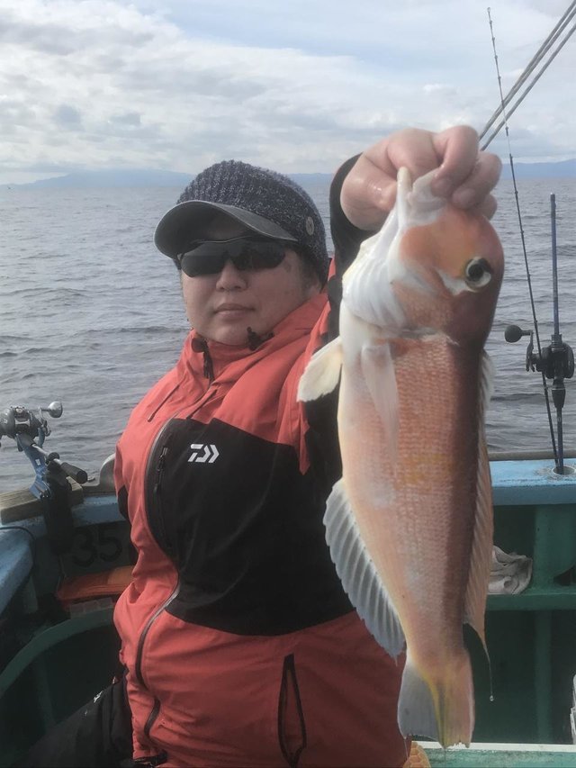 アマダイ(アカアマダイ)