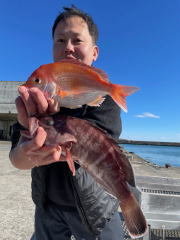 キダイ・マハタ