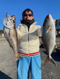 クロムツ・メダイ