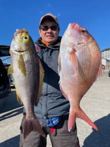 ハナダイ(チダイ)・イサキ