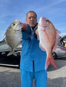 マダイ・カイワリ