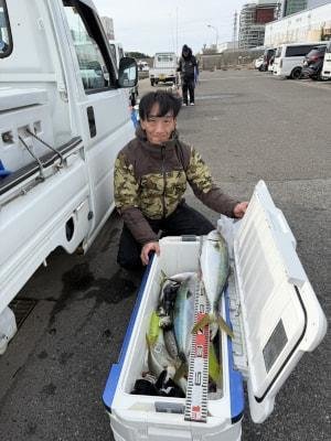 マアジ・メジロ(ブリ)