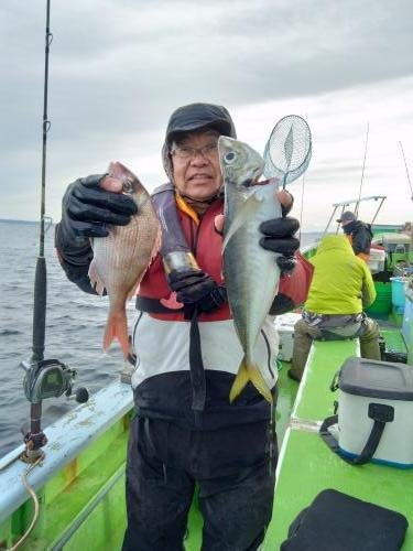 マダイ・アジ(マアジ)