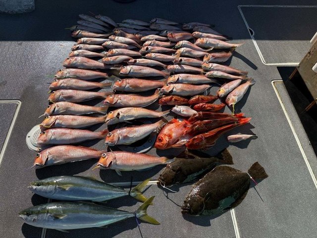 アジ(マアジ)・ハマチ(ブリ)・アマダイ(アカアマダイ)・ホウボウ・ヒラメ・キンメ(キンメダイ)