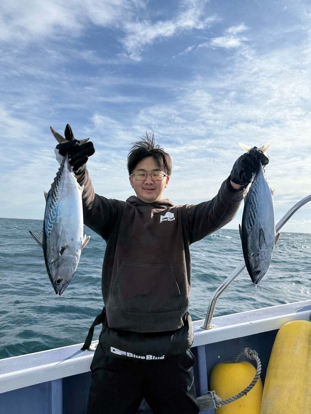 スマガツオ(スマ)