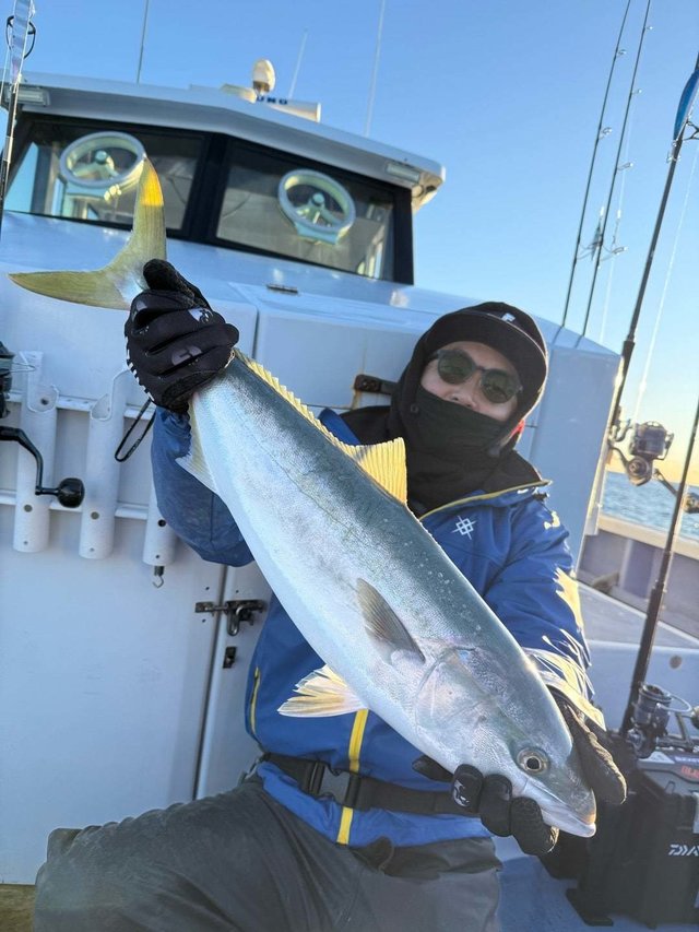 サンパク(ブリ)