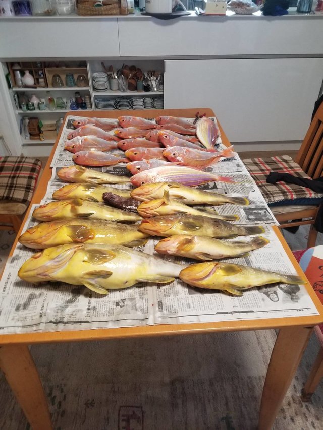 アオナ(アオハタ)・イトヨリ(イトヨリダイ)