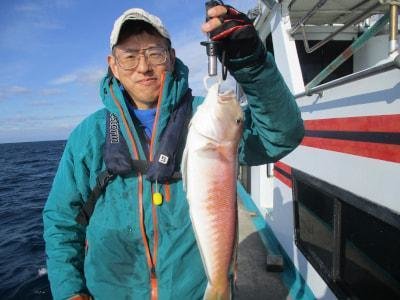 アマダイ(アカアマダイ)