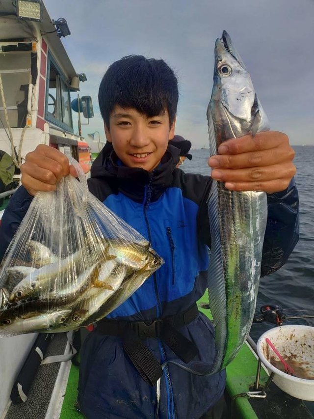 アジ(マアジ)・タチウオ