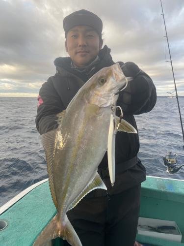 ショゴ(カンパチ)