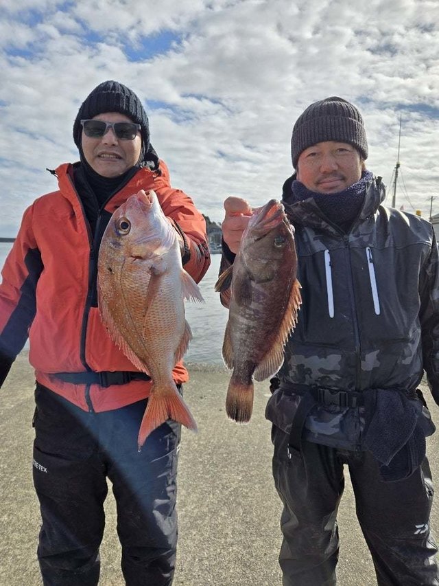 マダイ・ハタ(マハタ)