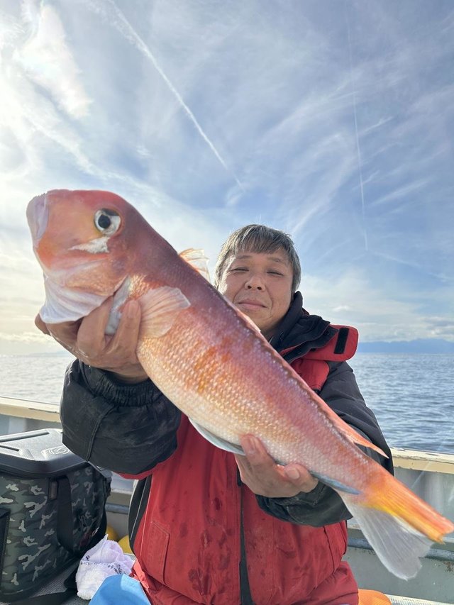 アマダイ(アカアマダイ)