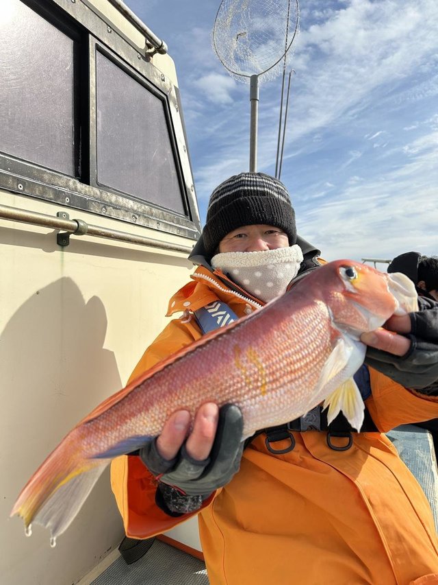 アマダイ(アカアマダイ)