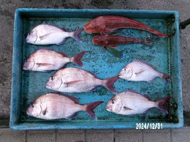 マダイ・ホウボウ