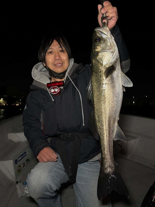 シーバス(スズキ)