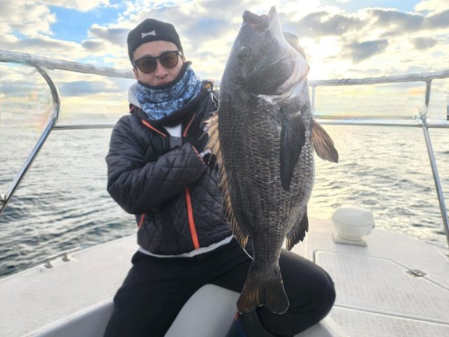 チヌ(クロダイ)