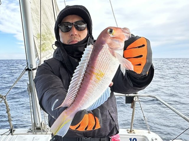 アマダイ(アカアマダイ)