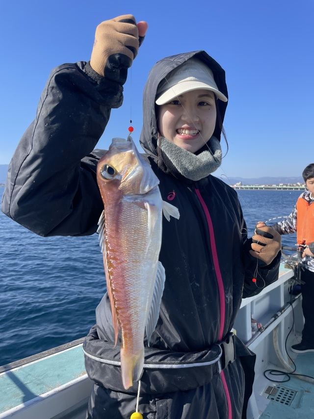 アマダイ(アカアマダイ)