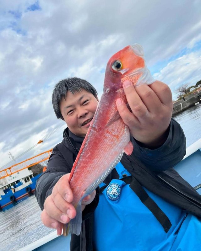 アマダイ(アカアマダイ)