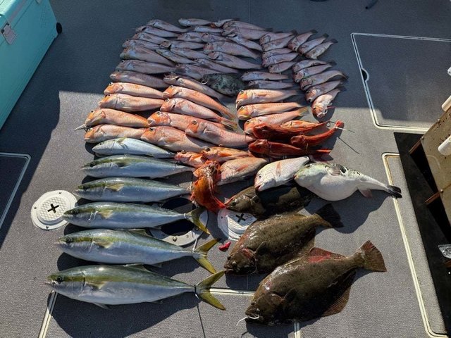 ハマチ(ブリ)・アマダイ(アカアマダイ)・ホウボウ・ヒラメ・ショウサイフク(ショウサイフグ)