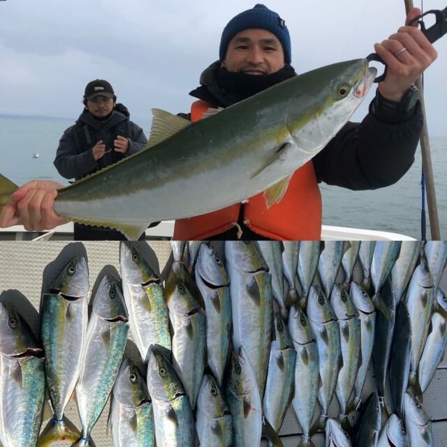 ブリ・ハマチ(ブリ)