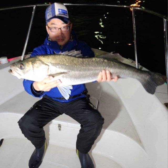 シーバス(スズキ)