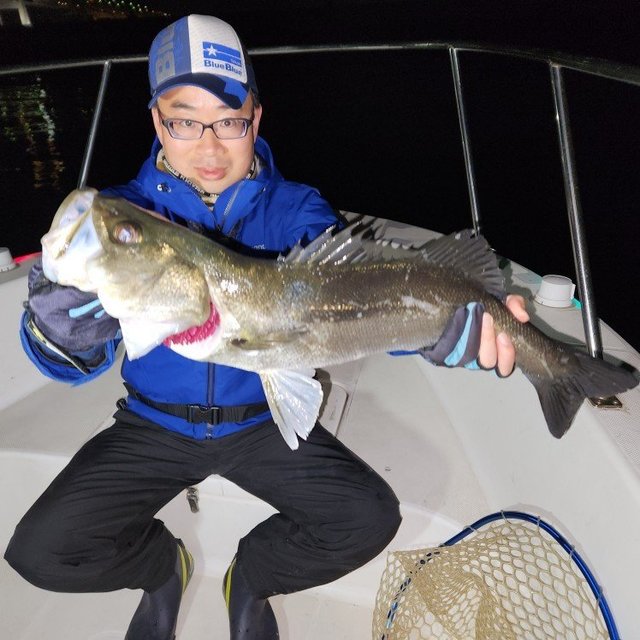 シーバス(スズキ)